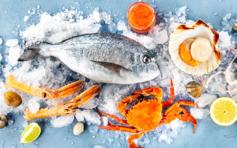 congelados (pescado, cangrejo, vieira) sobre manta de hielo picado